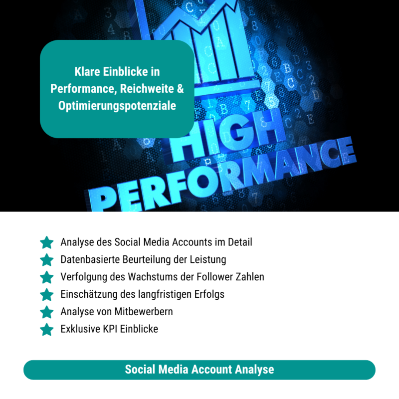Social Media Account Analyse