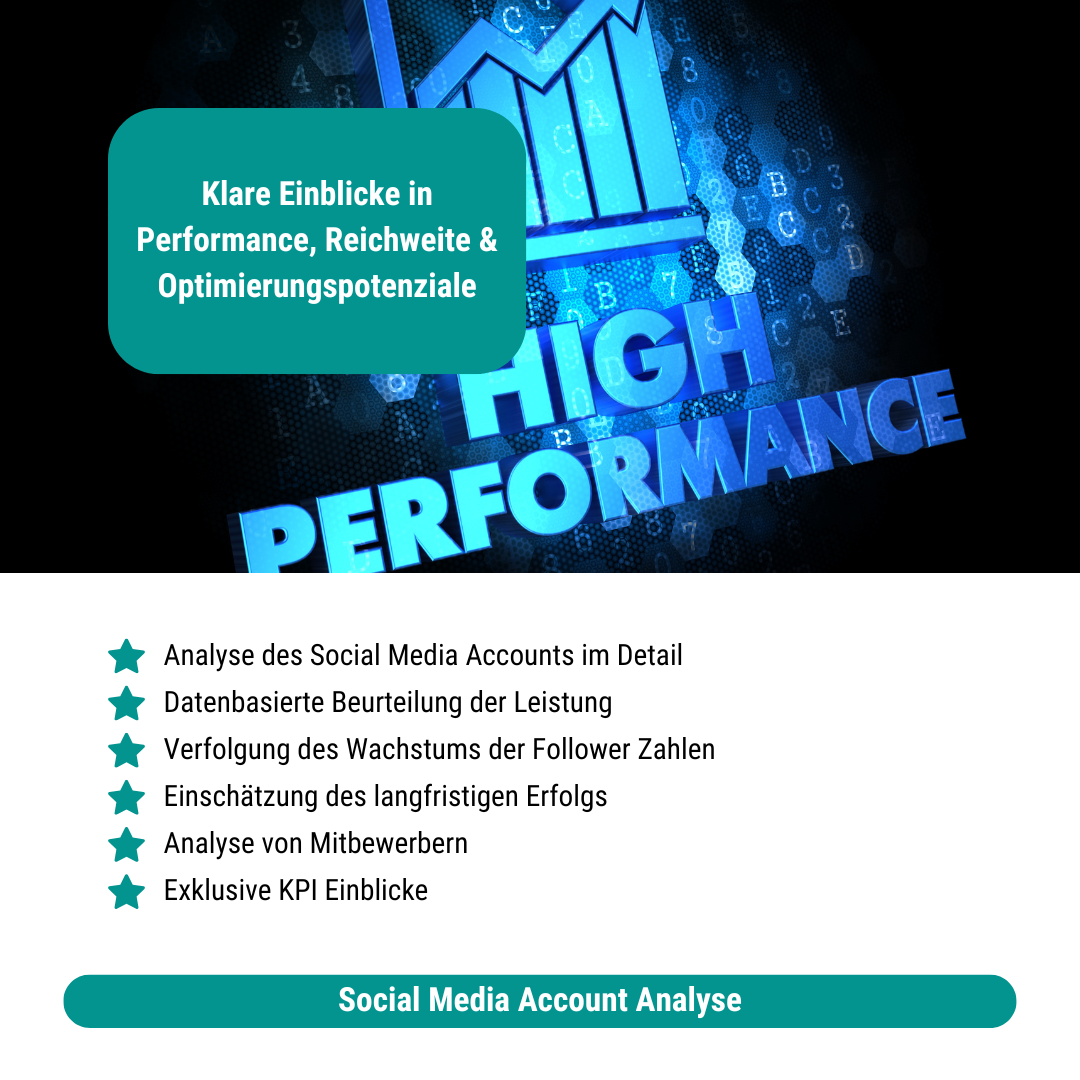 Social Media Account Analyse